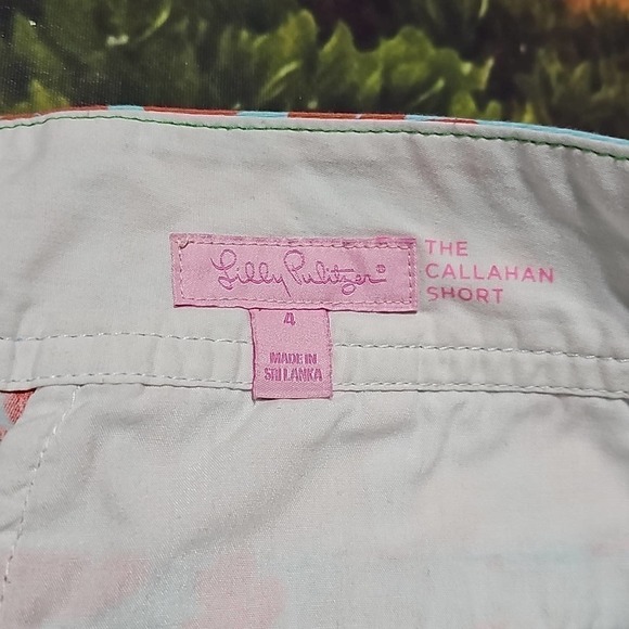 Lilly Pulitzer Callahan Shorts Size 4 - Picture 2 of 5
